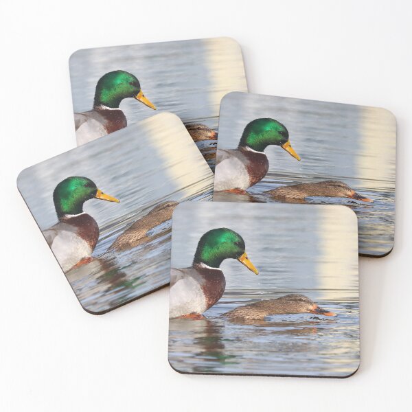 Item preview, Mating mallard duvks designed and sold by GreyFeatherPhot.