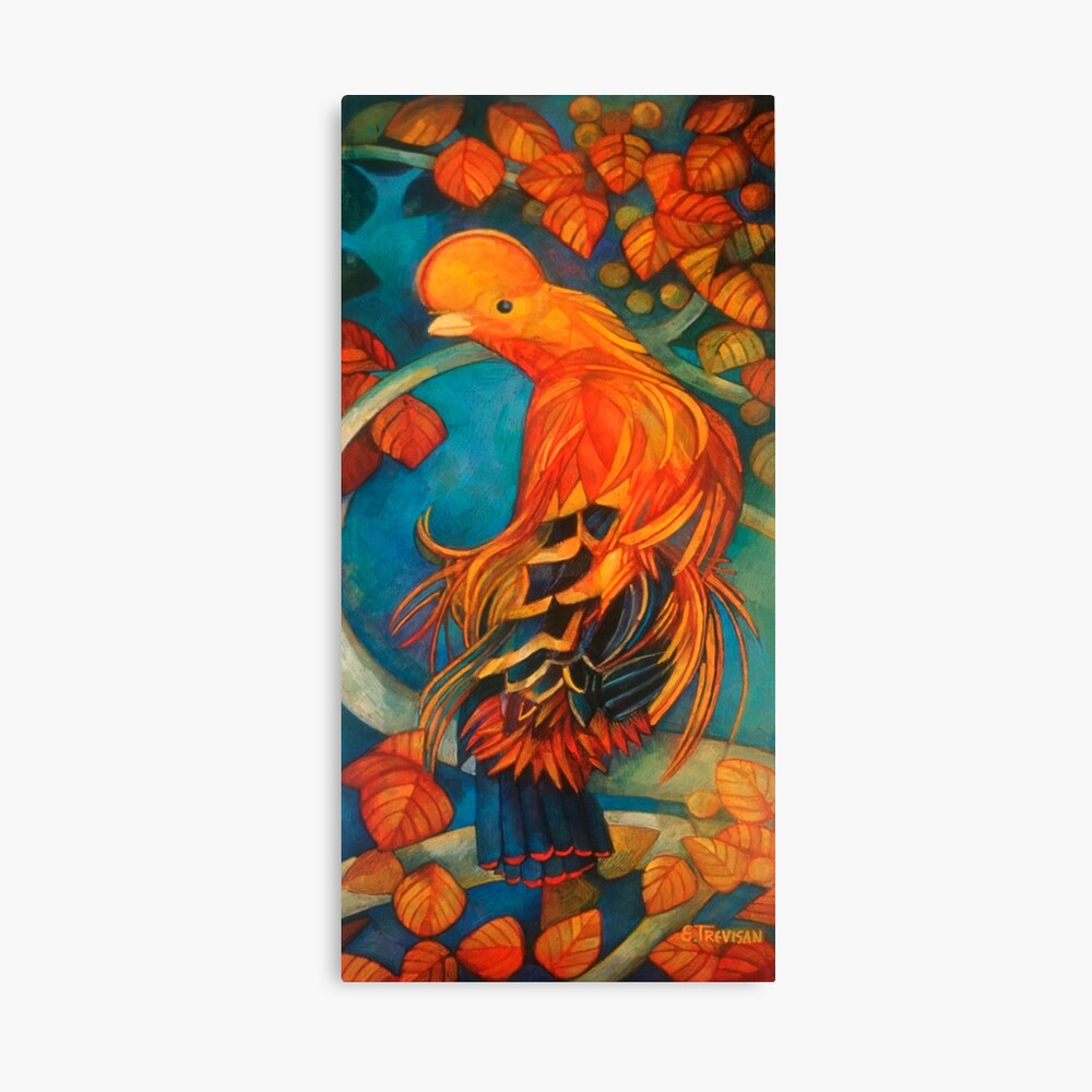cock of the rocks "rupicola rupicola" Canvas Print
