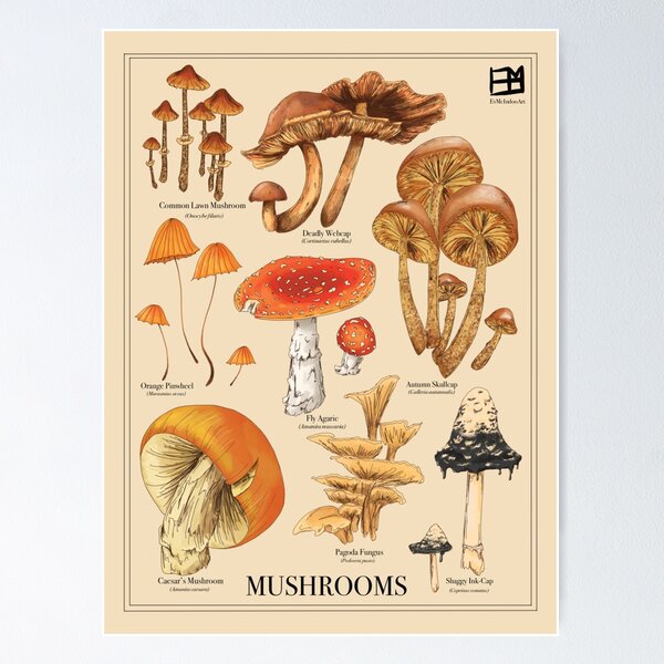 Item preview, Mushroom Botanicals designed and sold by EvMcIndooArt.