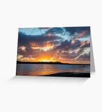 Maroochy River Rower Greeting Card