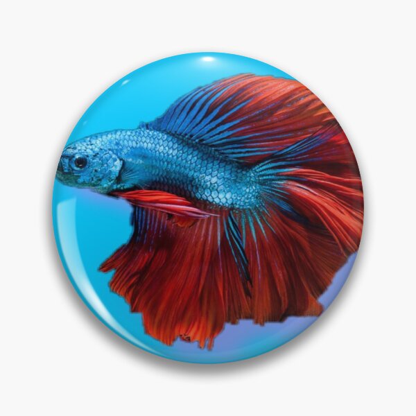 Item preview, Beautiful Fighting Fish iv designed and sold by Paul Marsden.