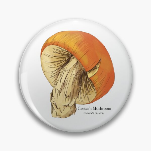 Item preview, Caesar's Mushroom designed and sold by EvMcIndooArt.