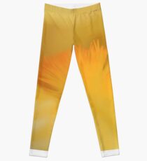 The Beard Leggings