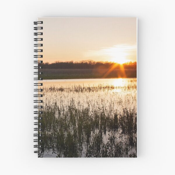 Item preview, DeSoto Sunset designed and sold by JeanMariesPhoto.