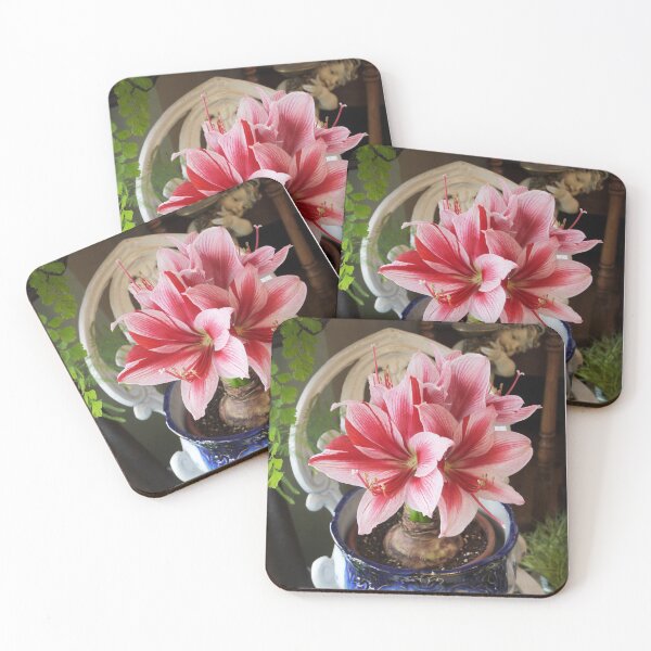 Item preview, Amaryllis Gervase designed and sold by kkmarais.