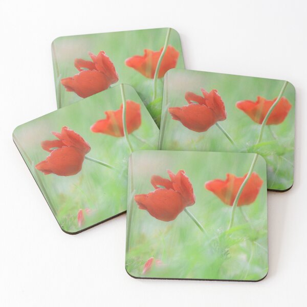 Item preview, Anemones designed and sold by LaGalleria-BNS by Moses Benson Gallery.