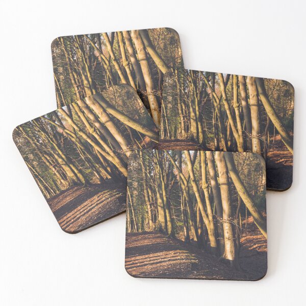 Item preview, A leafy woodland in late winter designed and sold by chrishannah.