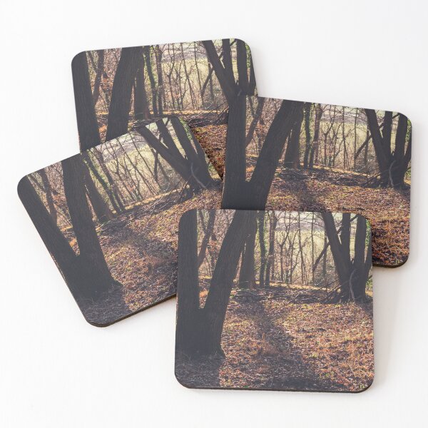 Item preview, A leafy woodland in late winter designed and sold by chrishannah.
