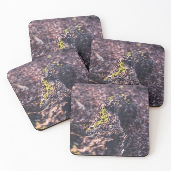 Item preview, Fallen log with moss growing designed and sold by chrishannah.