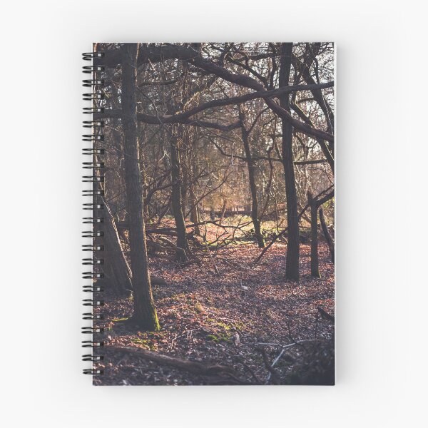 Item preview, A leafy woodland in late winter designed and sold by chrishannah.