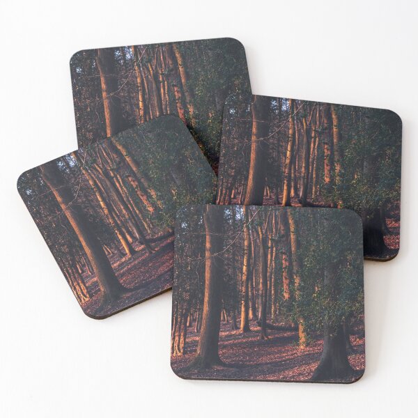 Item preview, A leafy woodland during a late winter sunset designed and sold by chrishannah.