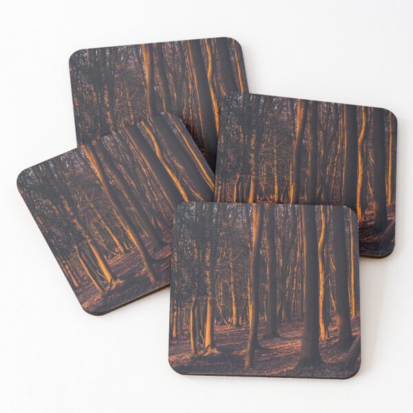 Item preview, A leafy woodland during a late winter sunset designed and sold by chrishannah.