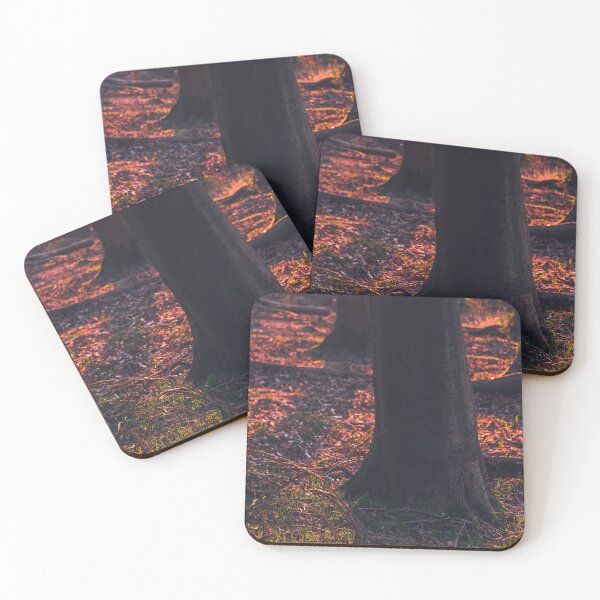 Item preview, A leafy woodland during a late winter sunset designed and sold by chrishannah.