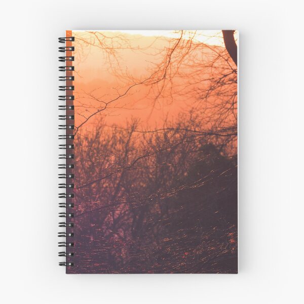 Item preview, A leafy woodland during a late winter sunset designed and sold by chrishannah.