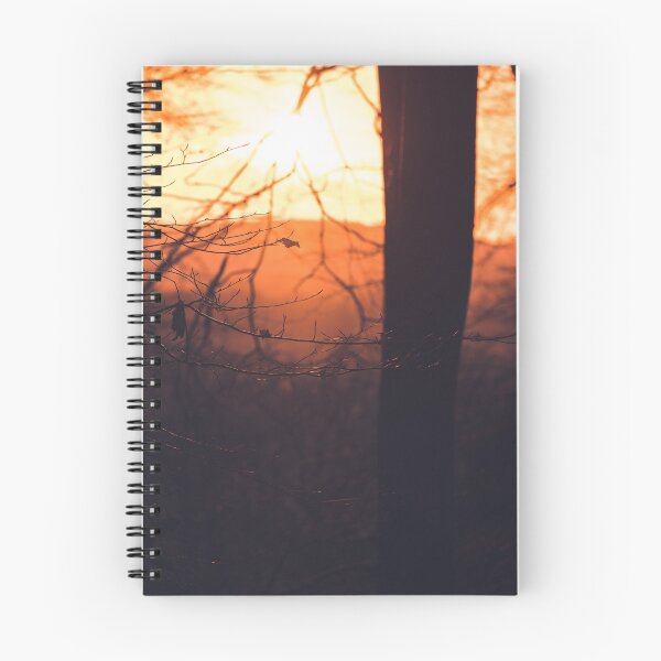 Item preview, A leafy woodland during a late winter sunset designed and sold by chrishannah.