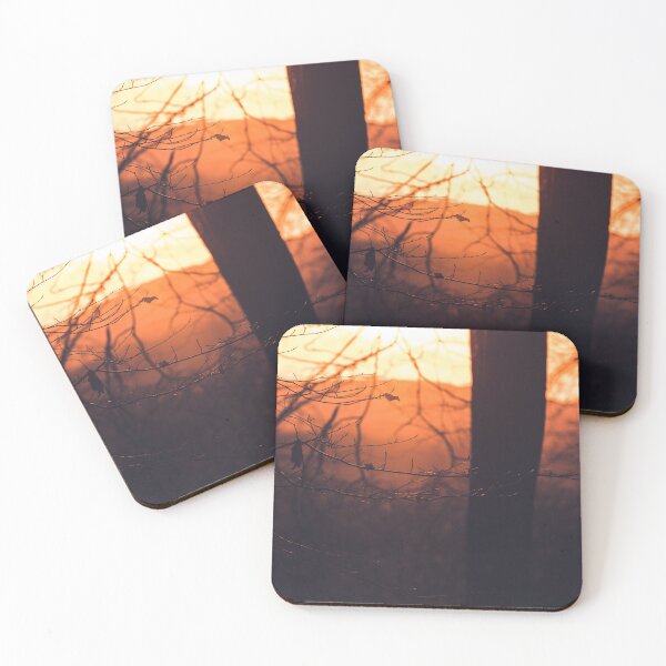 Item preview, A leafy woodland during a late winter sunset designed and sold by chrishannah.