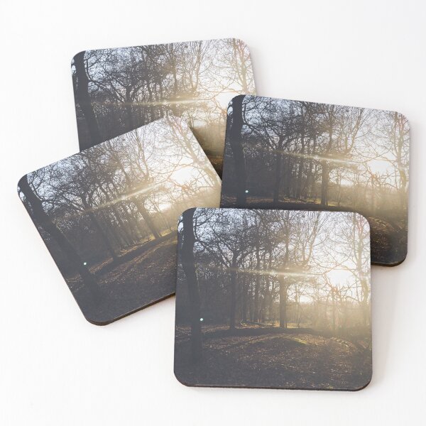 Item preview, A leafy woodland during a late winter sunset designed and sold by chrishannah.