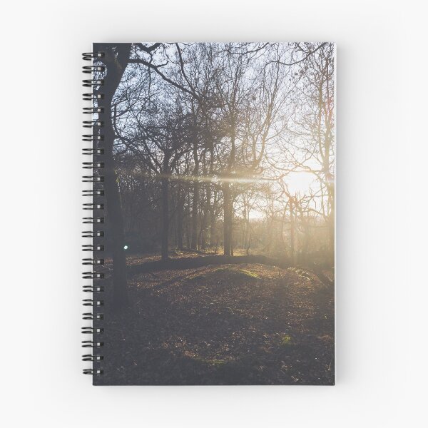 Item preview, A leafy woodland during a late winter sunset designed and sold by chrishannah.