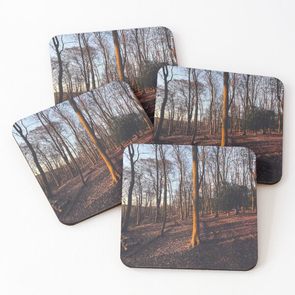 Item preview, A leafy woodland during a late winter sunset designed and sold by chrishannah.
