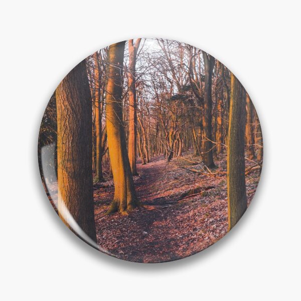 Item preview, A leafy woodland during a late winter sunset designed and sold by chrishannah.