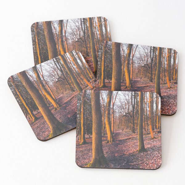 Item preview, A leafy woodland during a late winter sunset designed and sold by chrishannah.