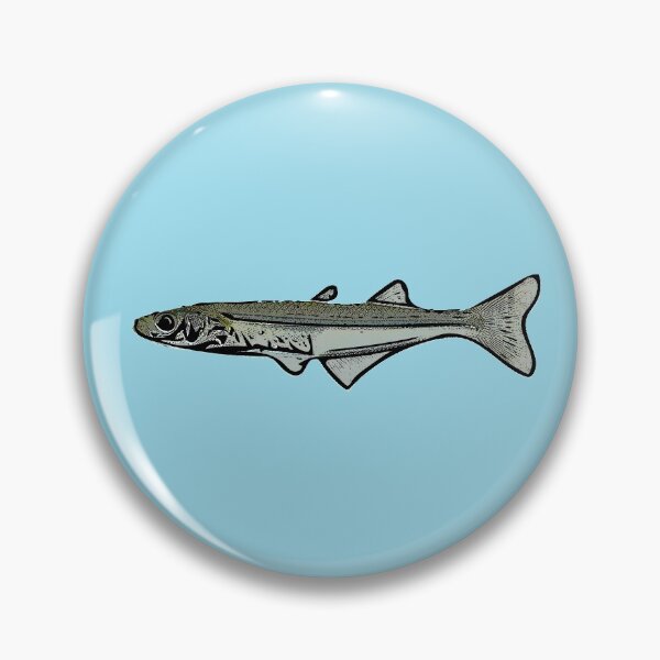 Item preview, Atlantic Silverside Black Alternate Design designed and sold by designsasstultd.