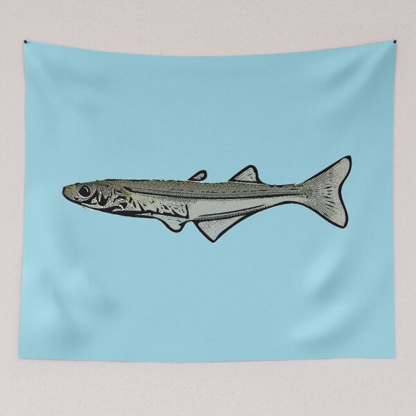 Item preview, Atlantic Silverside Black Alternate Design designed and sold by designsasstultd.