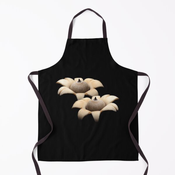 Item preview, Star Struck designed and sold by Michelle Honey.