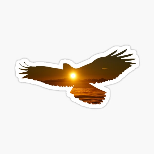 Adler Silhouette Geschenke Merchandise Redbubble