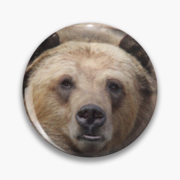 Item preview, Male Grizzly Bear on Rocks designed and sold by KMDavidPhoto.