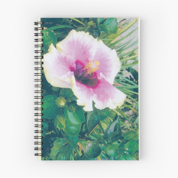Artikelvorschau, eine helle und zarte Blume entworfen und verkauft von Janet Herbert.