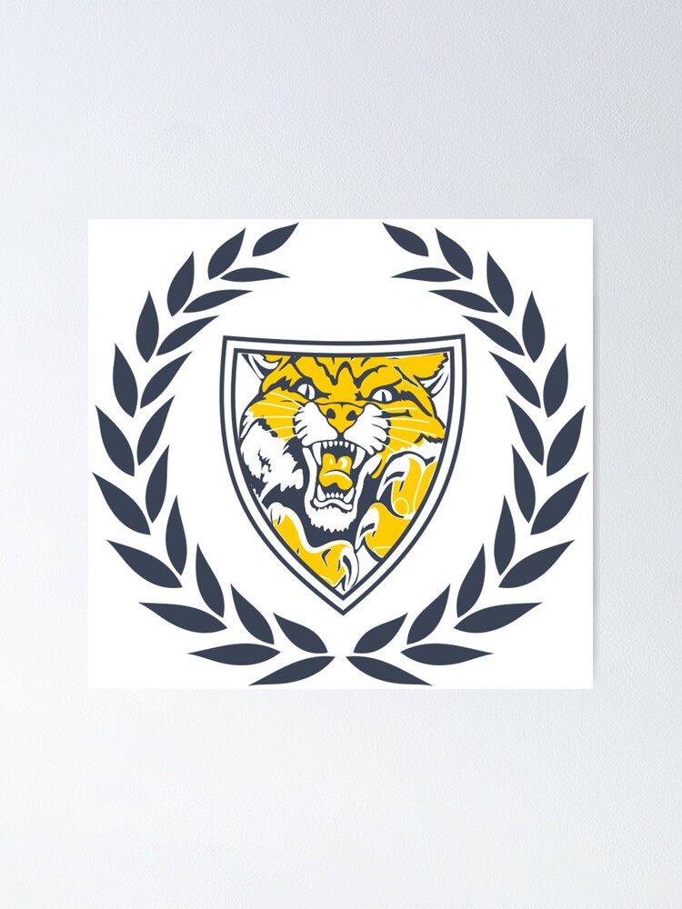 "Neuqua Valley High School " Poster for Sale by HamieCoolGuy Redbubble