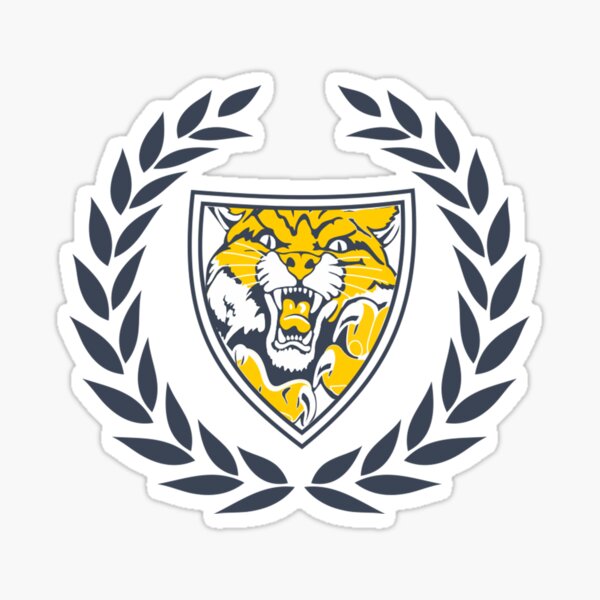 "Neuqua Valley High School " Sticker for Sale by HamieCoolGuy Redbubble