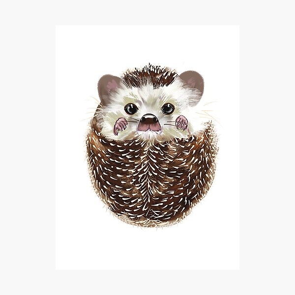 Aperçu de l'œuvre Hedgie le hérisson créée et vendue par Cheryl Cadzow.