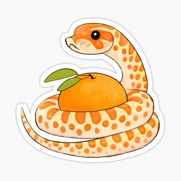 Orange Creamsicle Hognose Snake Sticker