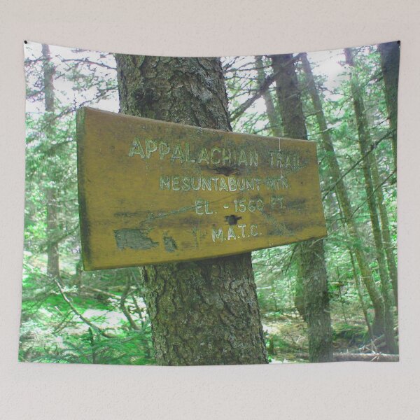 Item preview, Appalachian Trail, Maine - Glorious Nature Paths 08 designed and sold by vortexatelier.