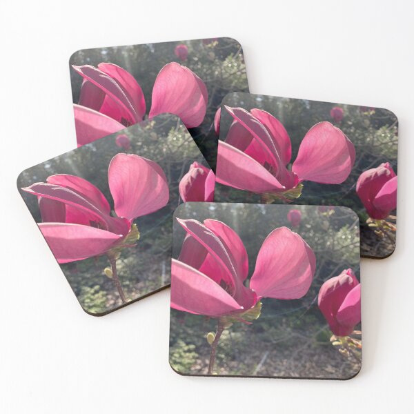 Item preview, Sunny magnolia designed and sold by agnessa38.