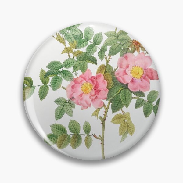 Item preview, Les Roses by Pierre-Joseph Redouté designed and sold by EsotericBotanic.