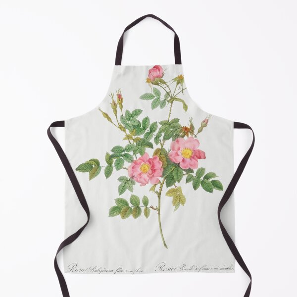 Item preview, Les Roses by Pierre-Joseph Redouté designed and sold by EsotericBotanic.