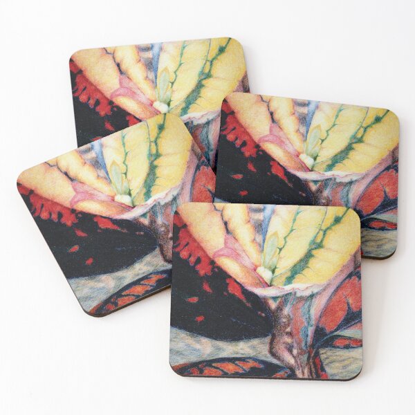 Item preview, Coloured Leaf Croton designed and sold by Anne Huth.