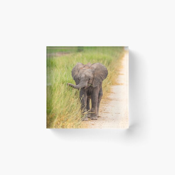 Item preview, Cute Baby Elephant designed and sold by Planet Earth By Colin Davis.