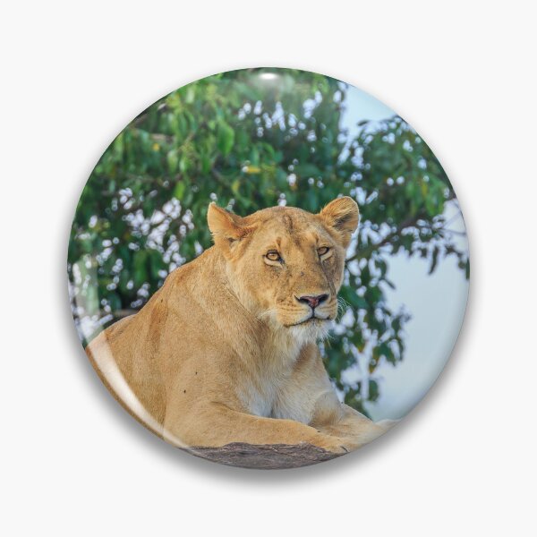 Item preview, Lioness Relaxes on the Rocks designed and sold by Planet Earth By Colin Davis.