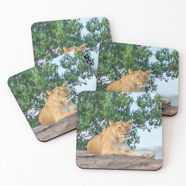 Item preview, Lioness Relaxes on the Rocks designed and sold by Planet Earth By Colin Davis.