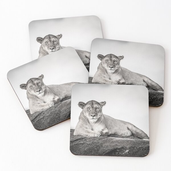 Item preview, Lioness Stare designed and sold by Planet Earth By Colin Davis.
