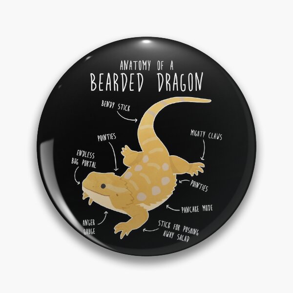Item preview, Anatomy of a Bearded Dragon designed and sold by Clara Hollins.