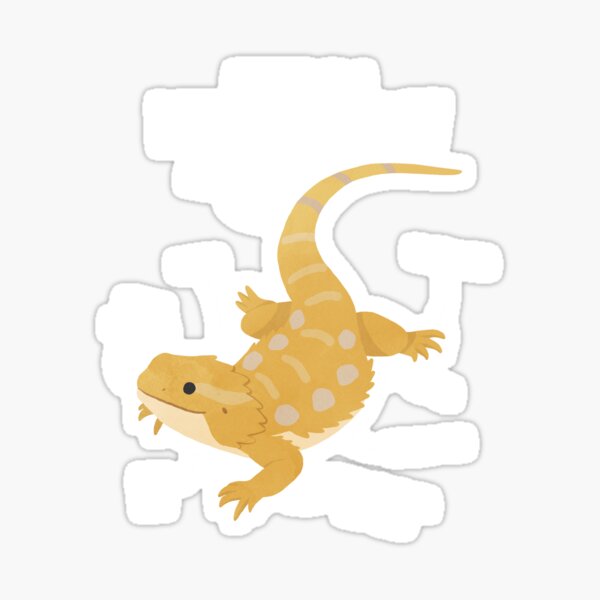 Item preview, Anatomy of a Bearded Dragon designed and sold by Clara Hollins.