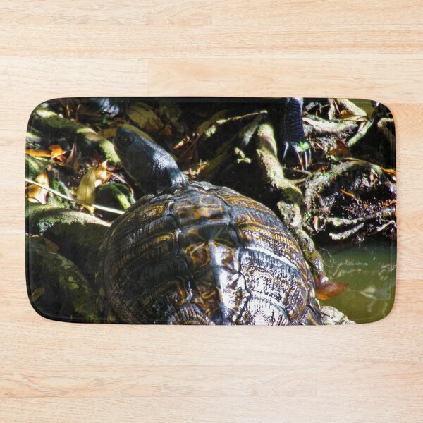Item preview, Turtle Pretty Shell Pattern designed and sold by toddbrooney.