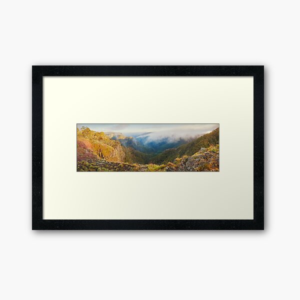 Framed Art Print