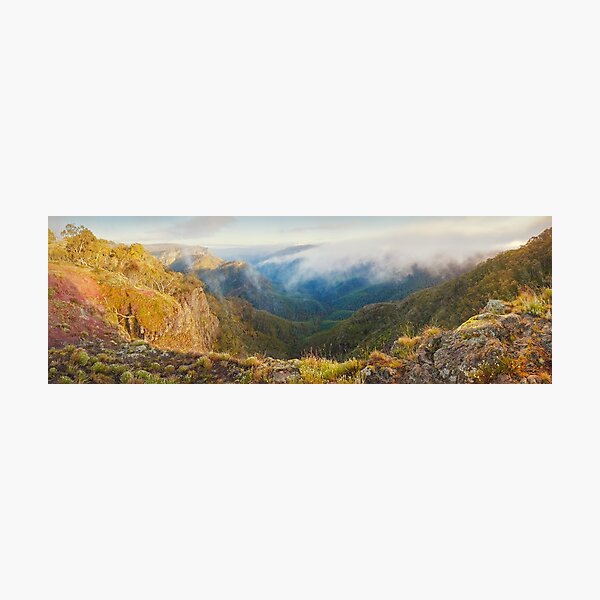 Photographic Print
