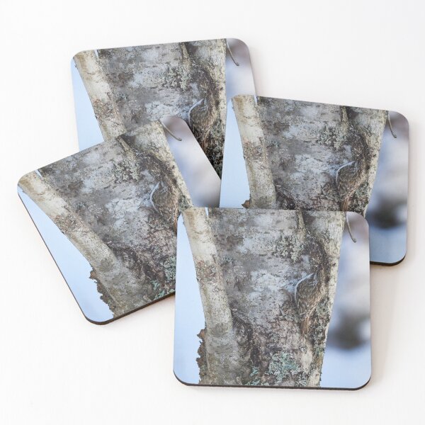 Item preview, In the crossing. Eurasian treecreeper designed and sold by Jouko Lehto Photography.